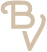 BV icon