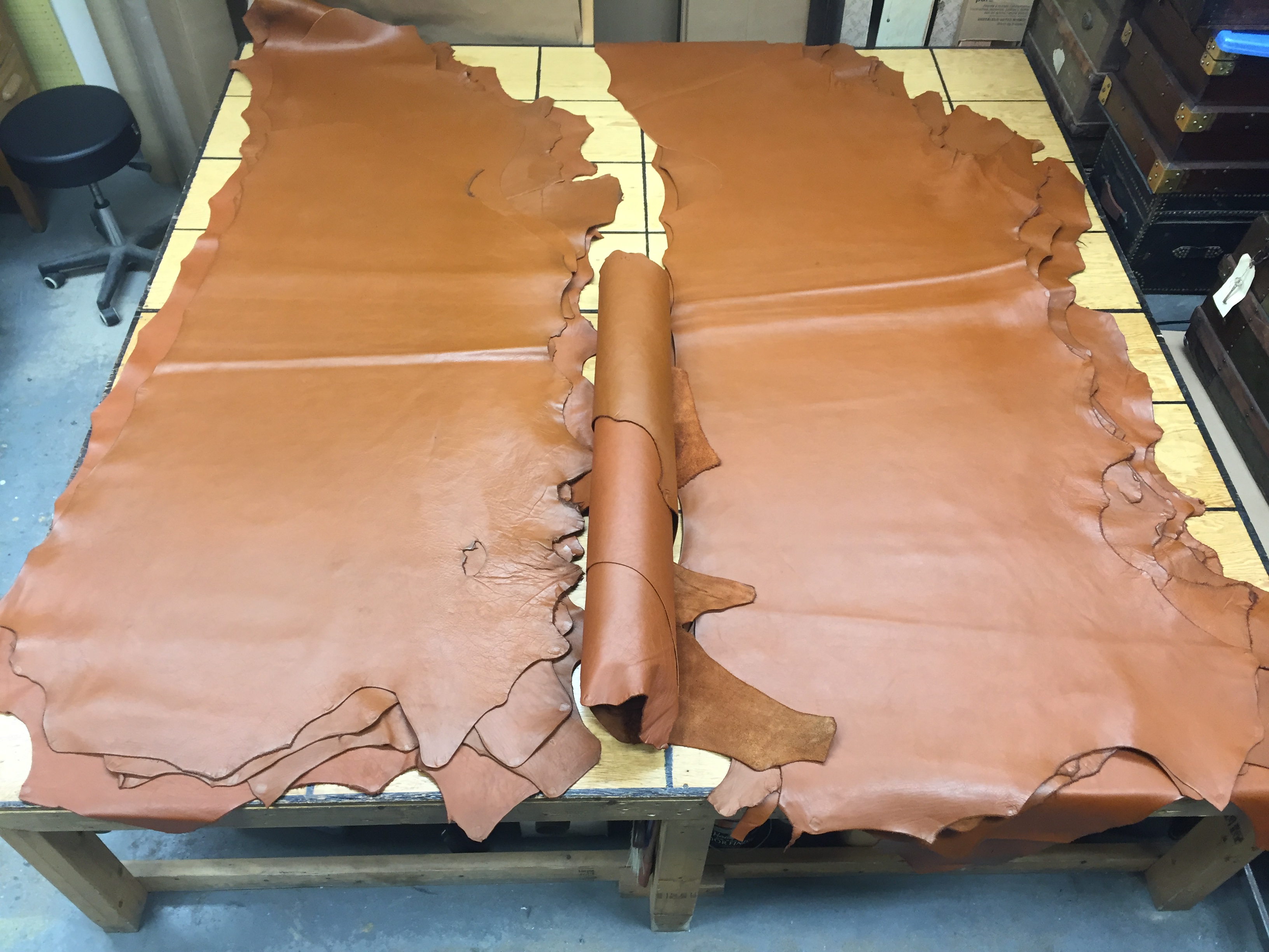 leather hides for sale