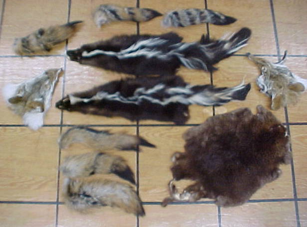 Hair-on hides, fur hides, furs, fur tails, fur faces